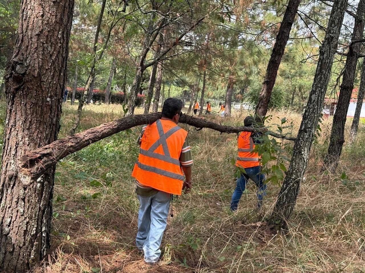 Guardia Ciudadana y SEDUMA trabajan en la conservación del Parque Bernal