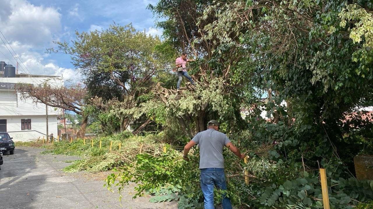 Realizan jornada masiva de poda en la colonia El Vergel para mejorar la seguridad