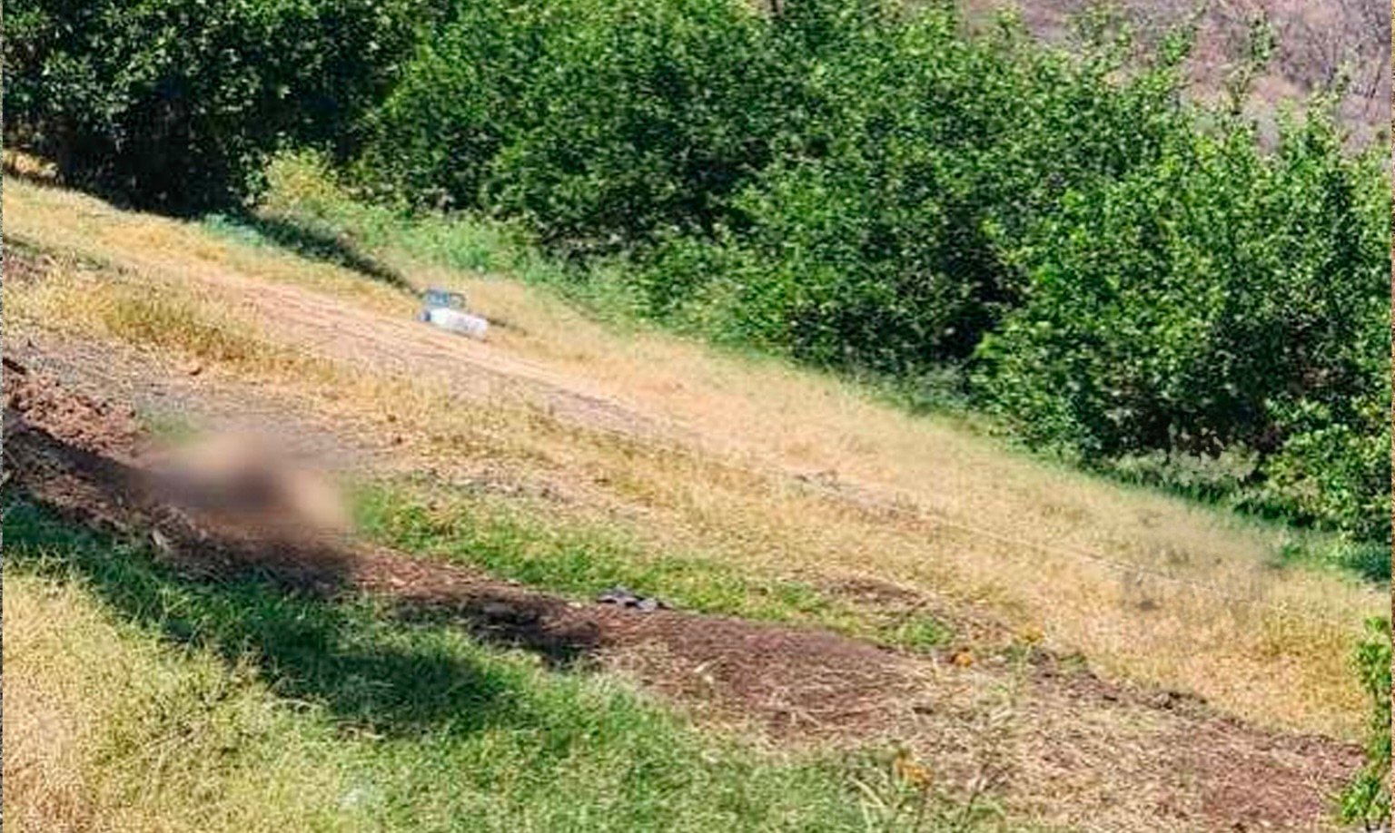 Terror en Apatzingán: Hombre muere tras activar explosivo en zona limonera