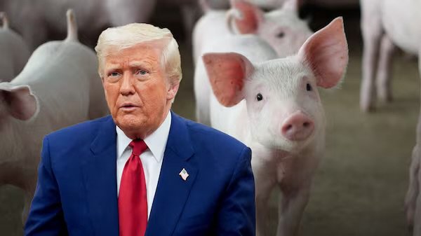 México busca frenar arancel del 20.91% al jitomate: EU reabre disputa por presunto dumping