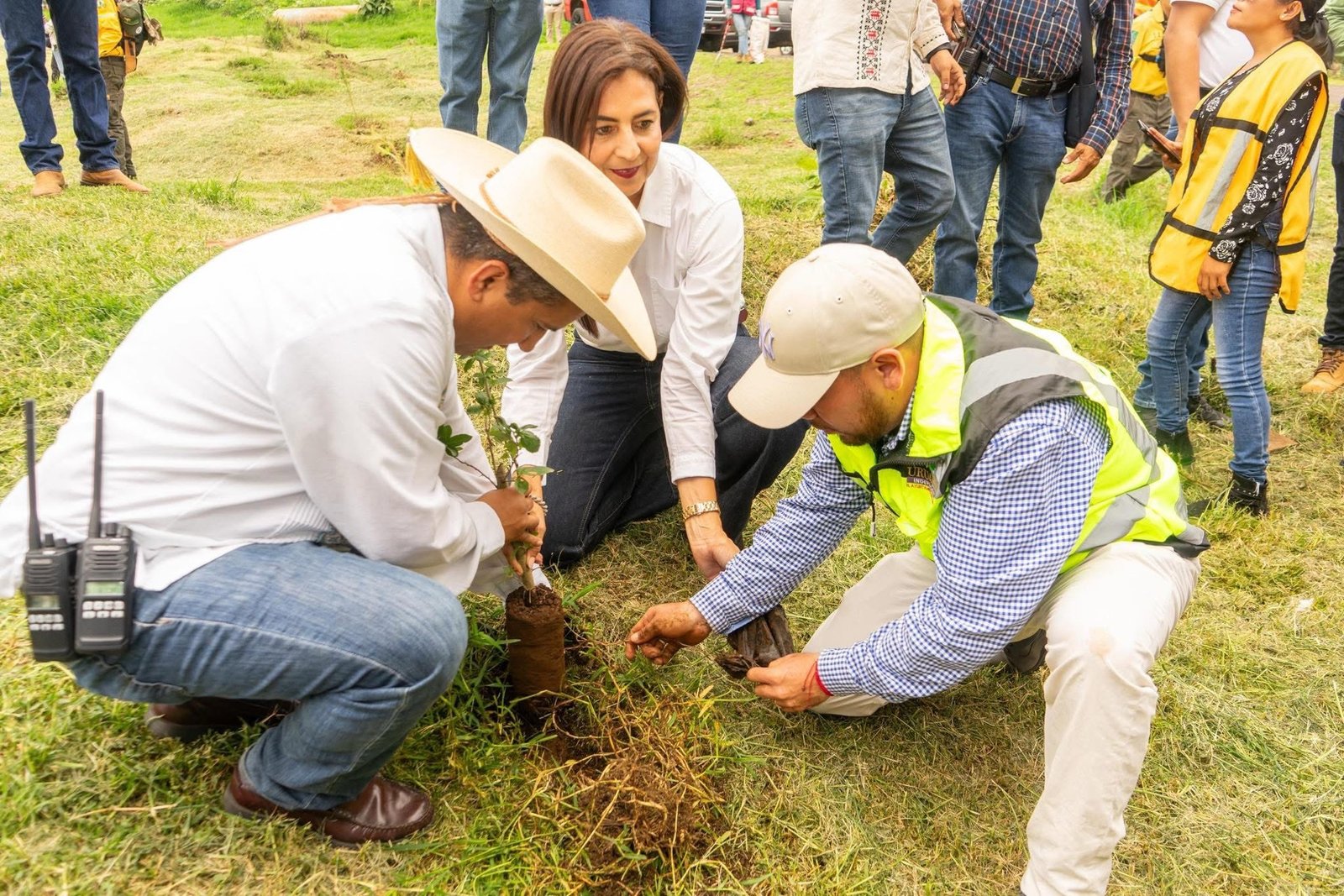 Plantarán en Uruapan 70 mil árboles&nbsp;