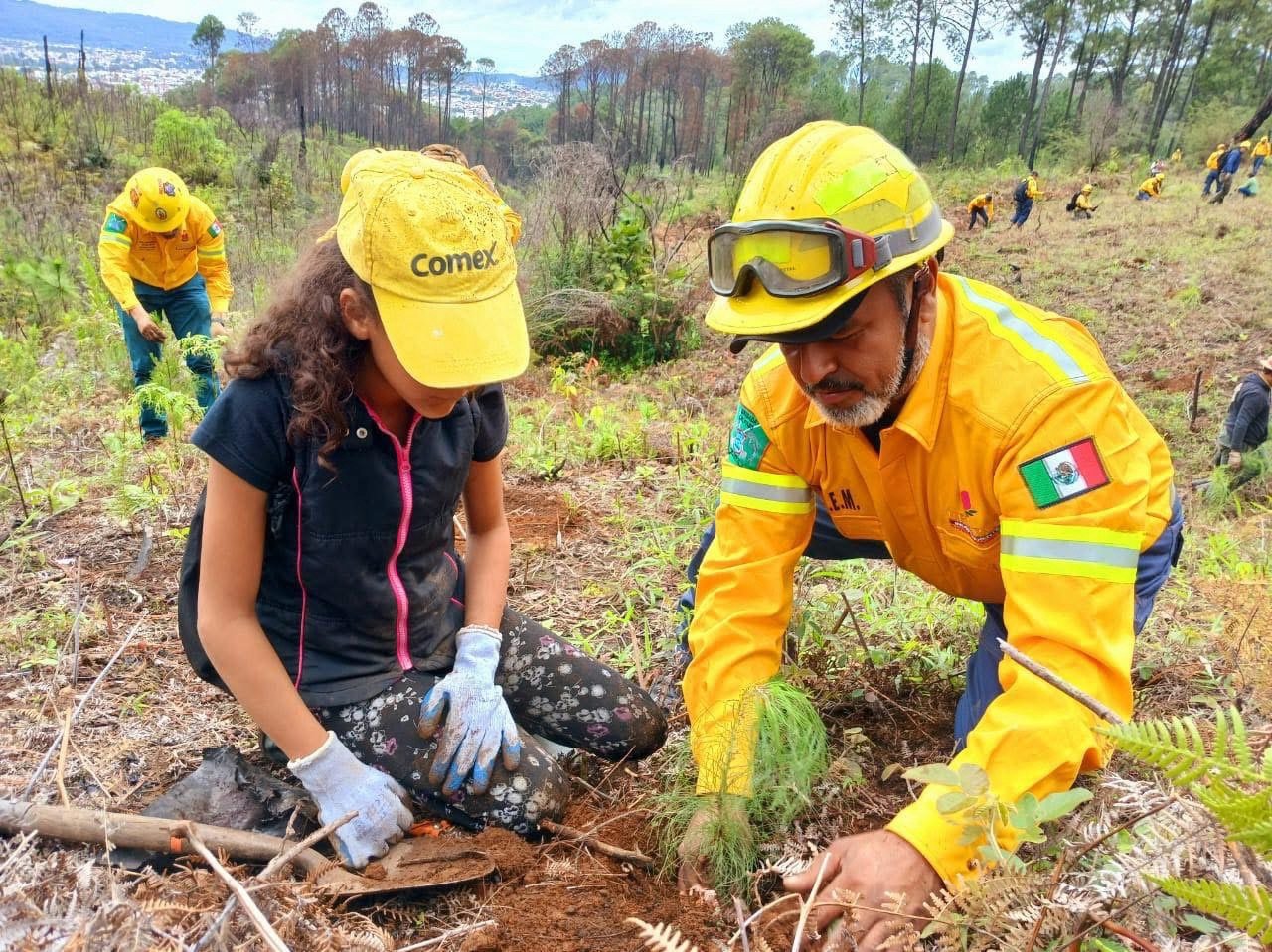 Arranca la Reforestación Responsable Municipal en el cerro de La Charanda