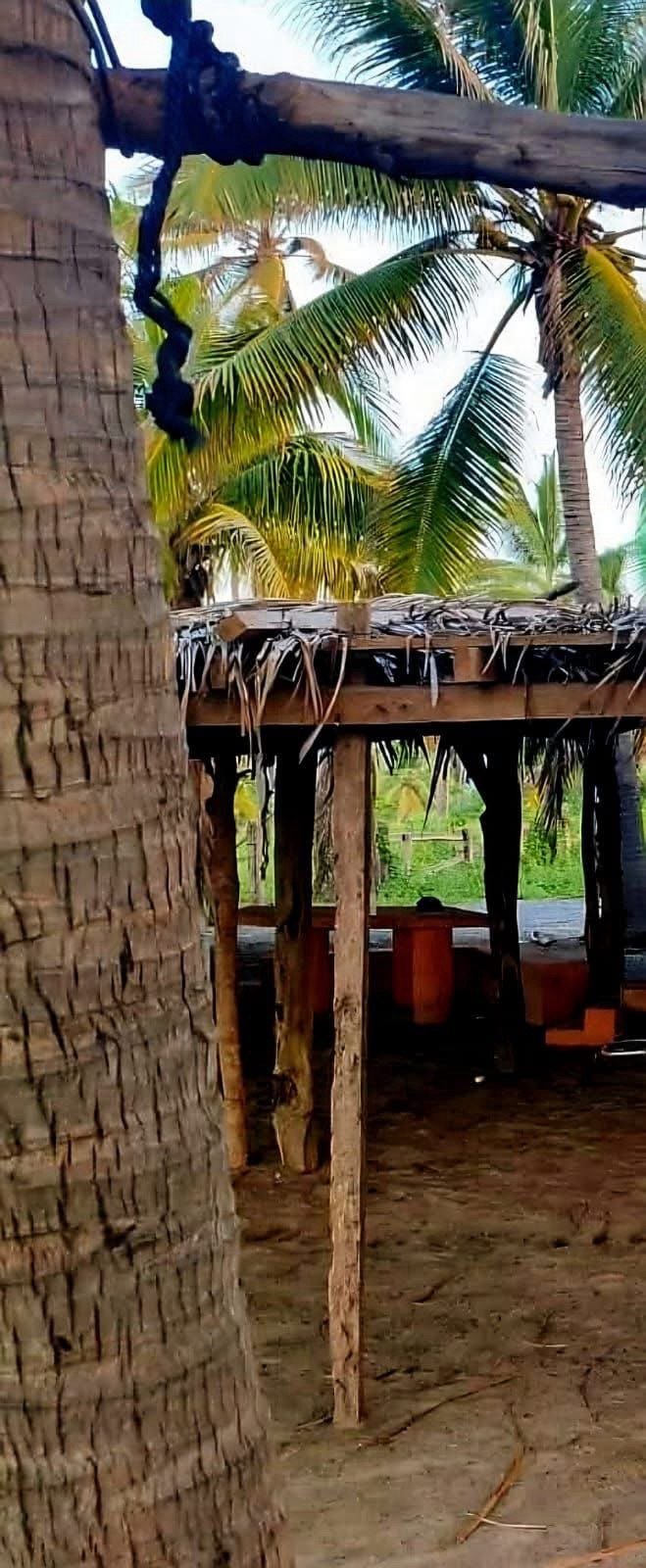 Hallan cuerpo sin vida en enramada de playa en Lázaro Cárdenas