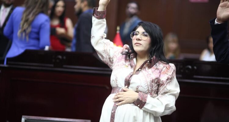 Vanhe Caratachea presenta iniciativa para proteger de violencia de género a madres jefas de familia