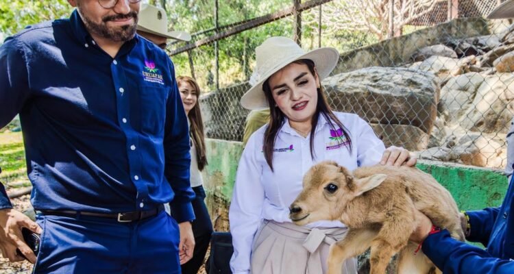 Supervisan condiciones del Zoocriadero “El Sabino” para su rehabilitación