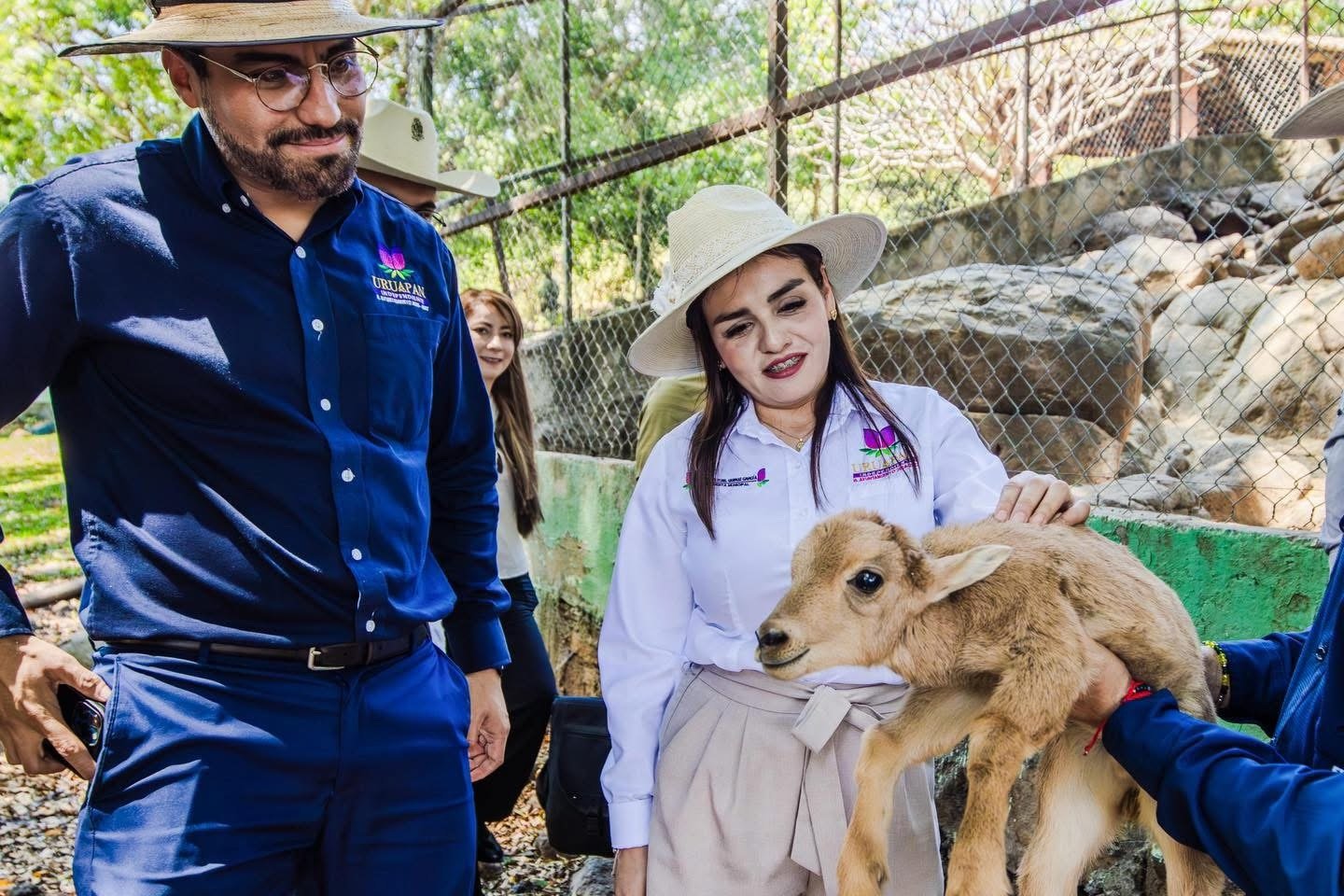 Supervisan condiciones del Zoocriadero “El Sabino” para su rehabilitación Supervisan condiciones del Zoocriadero “El Sabino” para su rehabilitación