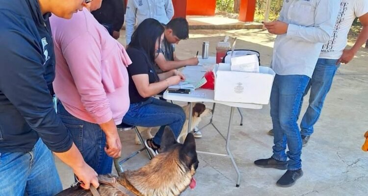 Exitosa campaña antirrábica beneficia a mascotas y familias en Tanaxuri