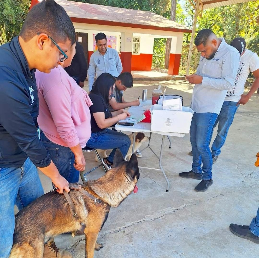 Exitosa campaña antirrábica beneficia a mascotas y familias en Tanaxuri