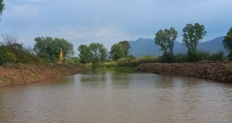 Nuevos brotes de vida en el lago de Pátzcuaro
