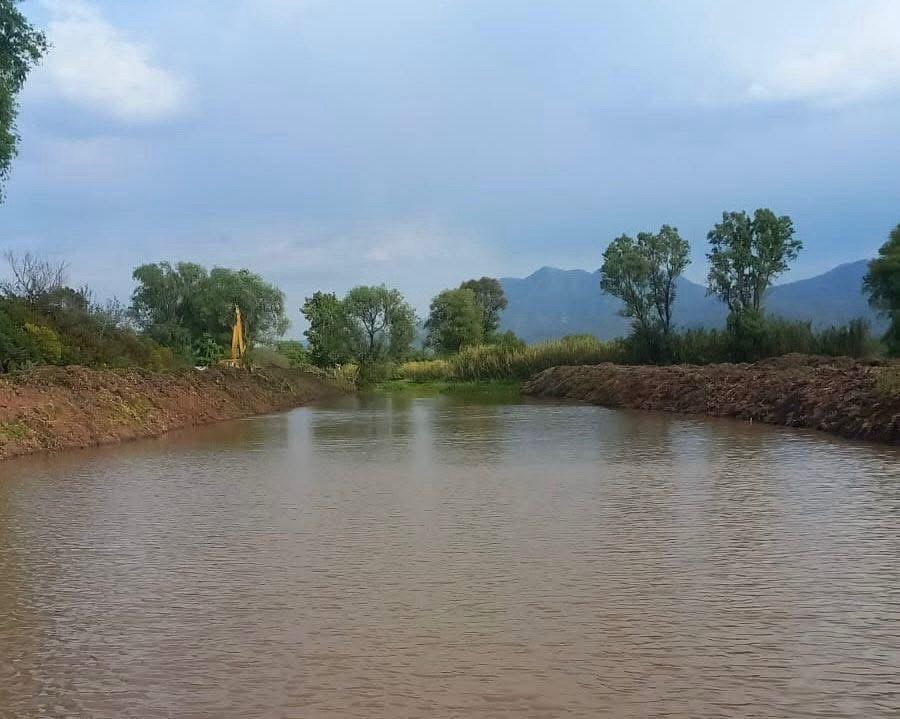 Nuevos brotes de vida en el lago de Pátzcuaro Nuevos brotes de vida en el lago de Pátzcuaro